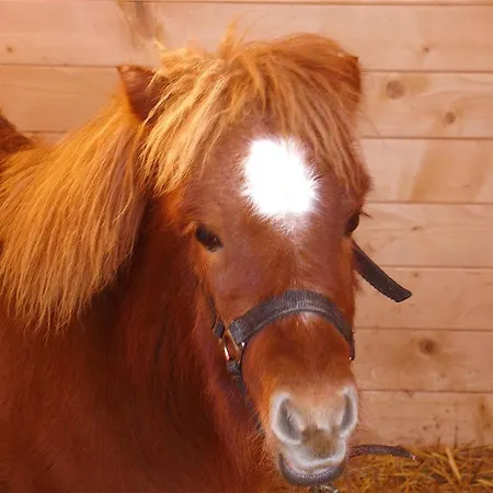 팜스테이 Ca' Isotta 카스텔로 디 세라발레