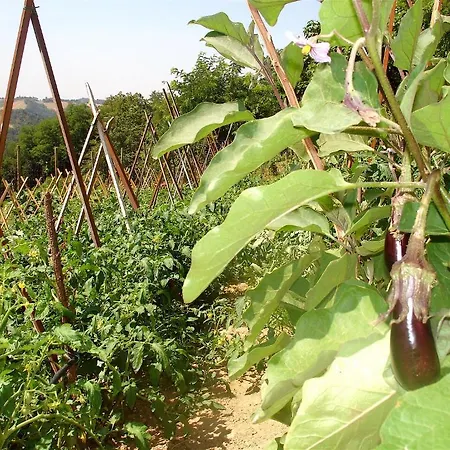 Ca' Isotta 카스텔로 디 세라발레