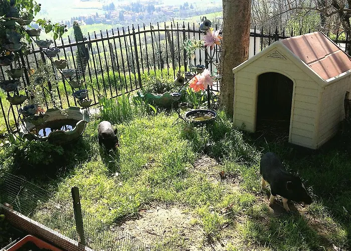 Farm stay Agriturismo Ca' Isotta Castello di Serravalle