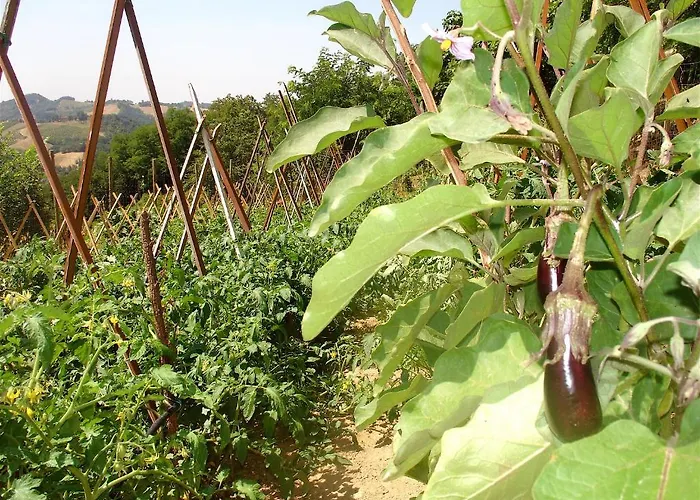 Ca' Isotta Castello di Serravalle