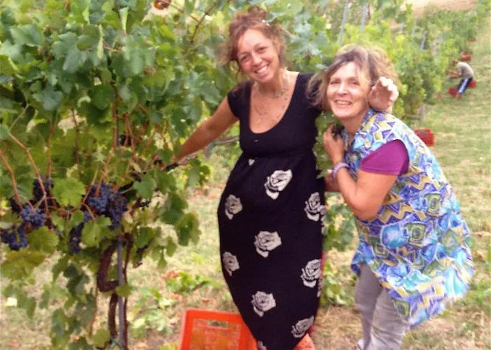 Ca' Isotta Alloggio per agriturismo