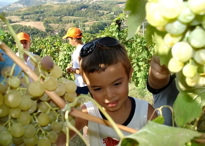 Alloggio per agriturismo Ca' Isotta