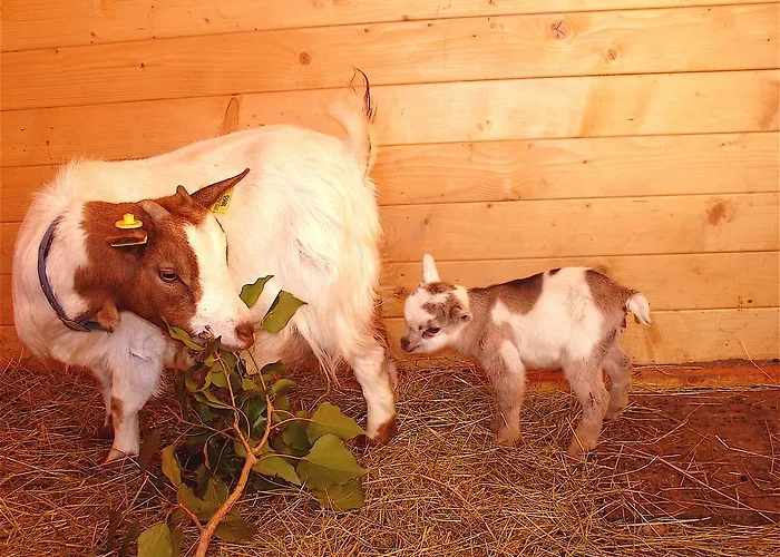 Ca' Isotta Castello di Serravalle